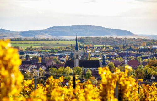 Neu - Wenkheimer Hof Scheunen-Loft - Foto 38