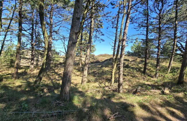 4 Star Holiday Home in Romo - Foto 17