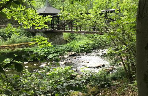 Ferienhaus Frankenwald 80qm unweit vom See in Lichtenberg - Sauna, Klima, Kamin, Garten - Bad Steben - Hof Saale - Foto 38