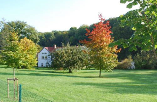 Ferienwohnung Obermühle - Photo 8