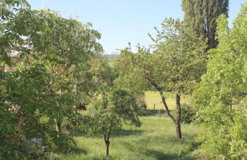 FeWo am Schlossberg - Foto 6