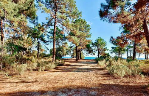 Campo Vecchio Dracena et Piscine - Foto 32