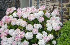 Gîte Esprit Mer - Foto 21