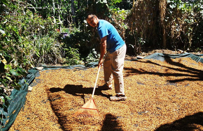 Coffee Tour of San Marcos de Tarrazu - Photo 4