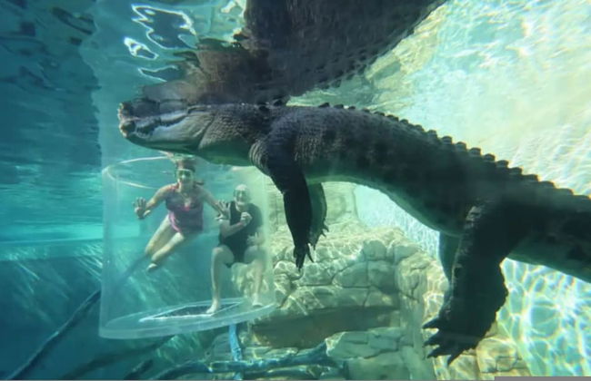 Water-front Paradise Pool - BBQ - Balcony Dining - Foto 63