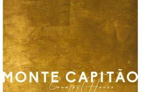 Monte Capitão Country house - Foto 44