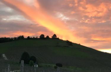 Ferienappartement Hennen - Foto 34