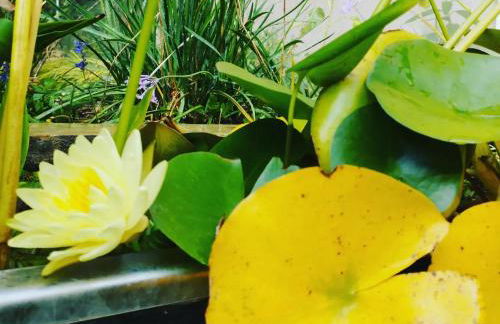 Olive Lemon Biophilic House & Lush Forest Garden - Foto 39