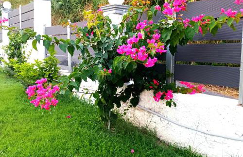 Casa di Helena Luxury villa Corfu - Foto 51