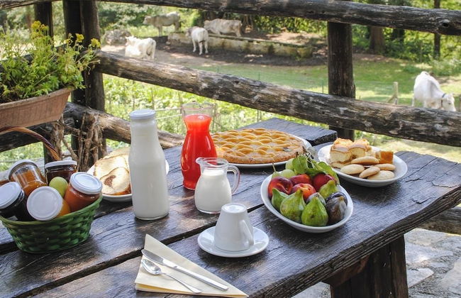 Agriturismo La Ferrera - Foto 25