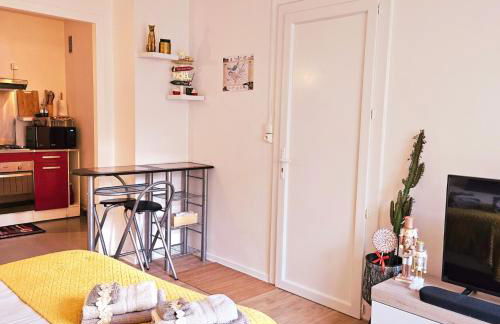 Charmant Studio proche centre avec balcon+parking - Foto 10