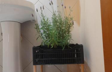 Casa Amarela Ecoloft Brasil 88 - Foto 24