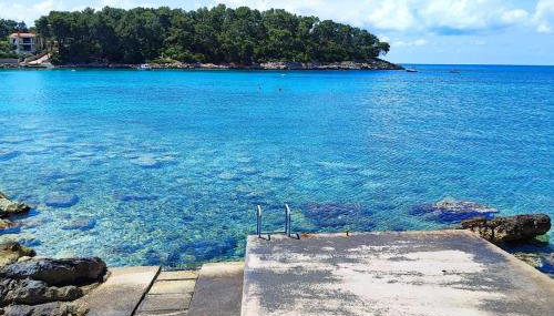 Apartments by the sea Prizba, Korcula - 23527 - Foto 5