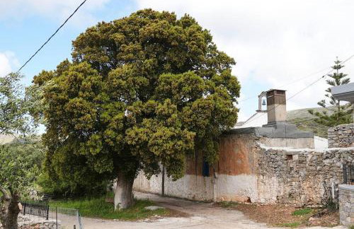 Mountain House Perampela - Foto 32