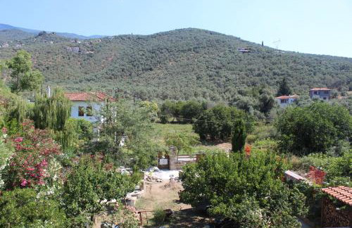 Estia Kleio - Foto 30