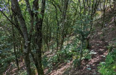 3 Bed in Dinas oc-lazyno - Photo 45