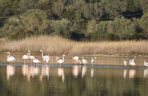 Mamadinas House AlliMpanta - Photo 21