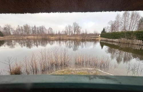 KRASNE POLE Gospodarstwo Rolne - Foto 29