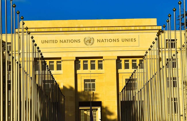 Bus et train touristiques de Genève - Photo 5