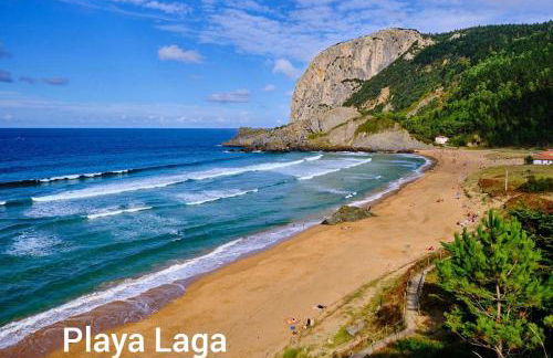 Monzubi Etxi - Foto 43