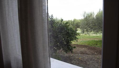 Casa Raineri - Foto 4