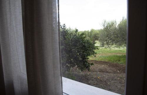 Casa Raineri - Foto 4