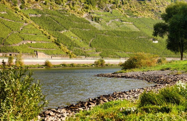 Ernst Lakeside Escape - Foto 36