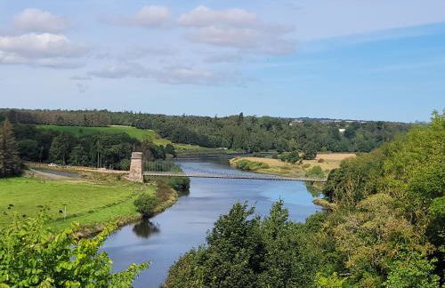 Honeysuckle Cottage - Photo 37