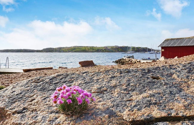 4 Star Holiday Home in Bovallstrand-by Traum - Foto 2