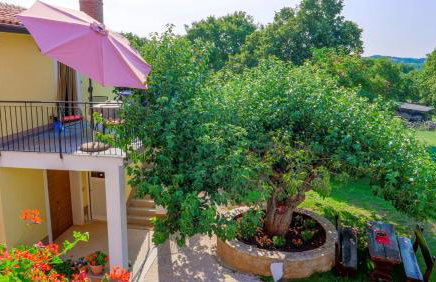 Studio Apartment Gianni - Foto 5