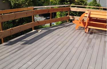 Historisches Aschberg Haisl Klingenthal, Terrasse, großer Garten 6 plus 2 Personen - Photo 31