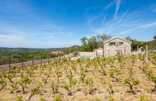 Villa Cavalleria Rusticana with heated pool and vineyard - Photo 8