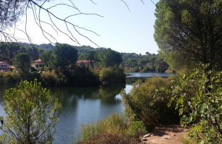 CABAÑA DE MADERA JUNTO AL LAGO LAS JARAS - Foto 15