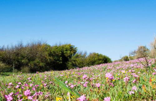 Apartment Wohnung 5 - Zwei-Zimmer-Wohnung by Interhome - Foto 16