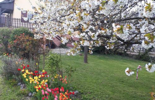 Le chouette gîte - Foto 48