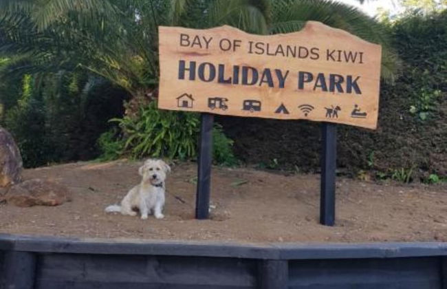 Bay of Islands Holiday Park - Foto 54