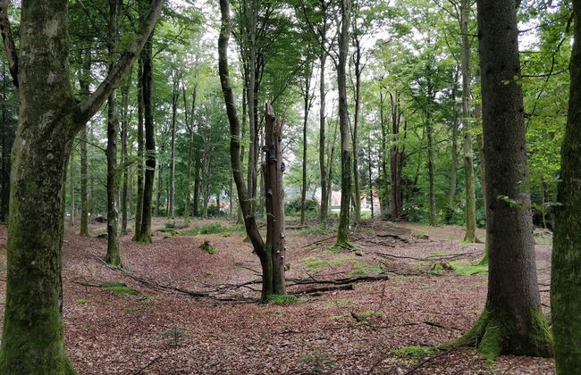 Lakefront Gem in Skarrild - By Traum Ferienwohnungen - Foto 18