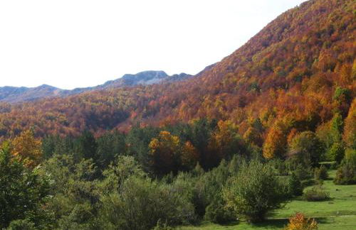 Principe di Napoli - Foto 16