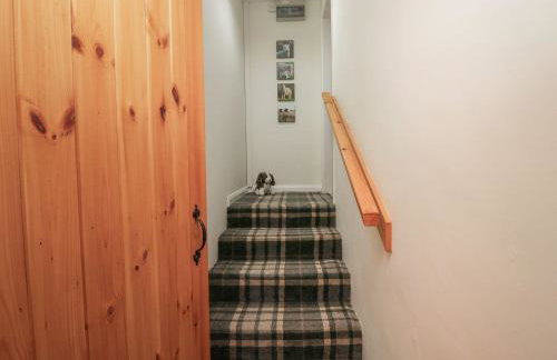 Low Jock Scar - Foto 12