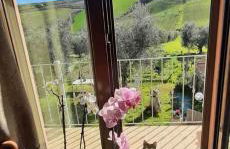 La Voce della Natura - Foto 9