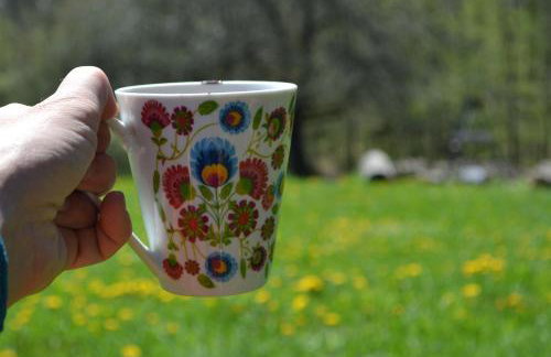 Na końcu świata - Foto 48