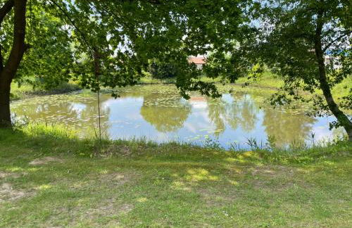 Haus Miriam - Foto 27