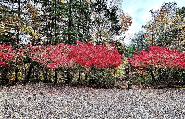3BDR Home by Torch Lake Sandbar 11931 - Foto 44