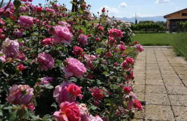 Il Fienile di Assisi - Photo 66