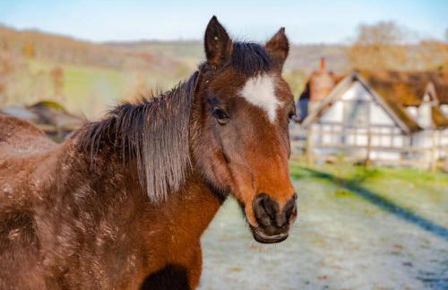 Outshot Barn - Photo 20