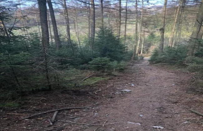 Panoramic Retreat in Malmedy - Foto 40