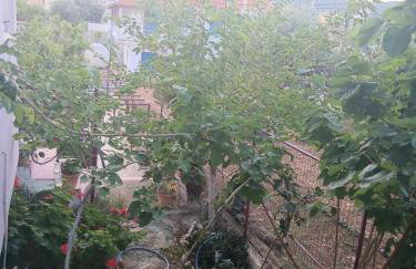 The Spring House - Foto 10