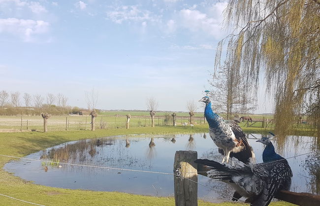 Aan de Waterspiegel - Photo 35