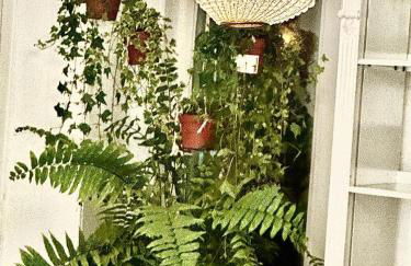 Casal Santa Virginia - Foto 52