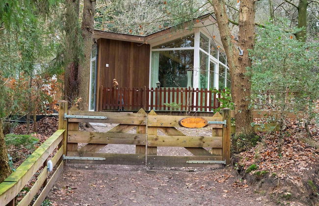 Forest House in Norg With Private Sauna - Photo 34